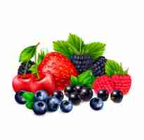 Free vector berry fruit realistic composition with cluster of different berries realistic images with shadows on blank background