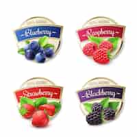 Free vector berry labels set