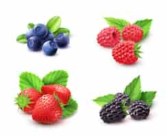 Free vector berry realistic set