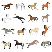 Best horse breeds pictures icons set