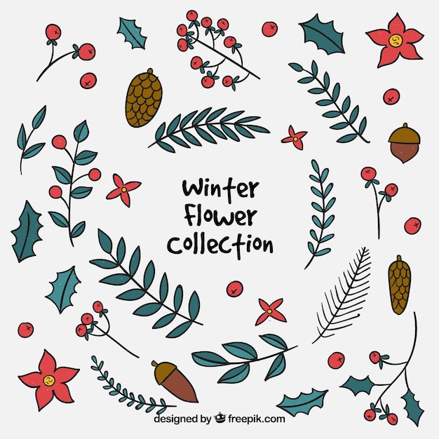 Free vector big collection of winter leaves and flowers