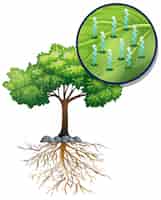 Бесплатное векторное изображение Большое зеленое дерево и близкие растительные клетки