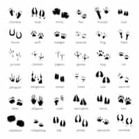 Free vector big monochrome set of different animals