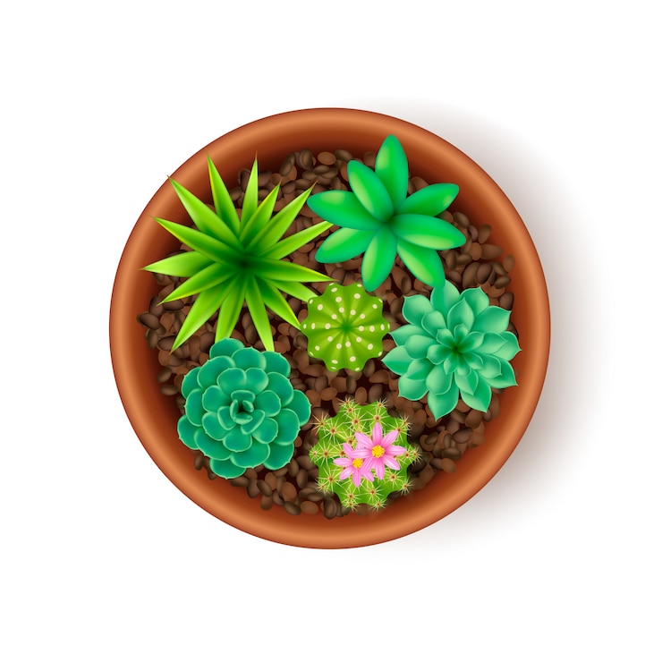 Free Vector big pot on white isolate illustration