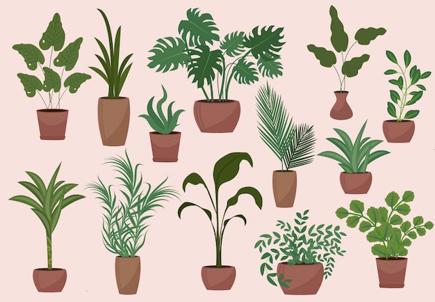 Big set of potted plants modern vintage  style. collection of  elements flowers, palm, ficus, monstera, avocado.  illustration