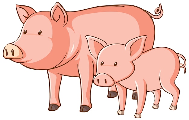 Big and small pigs cartoon on white background