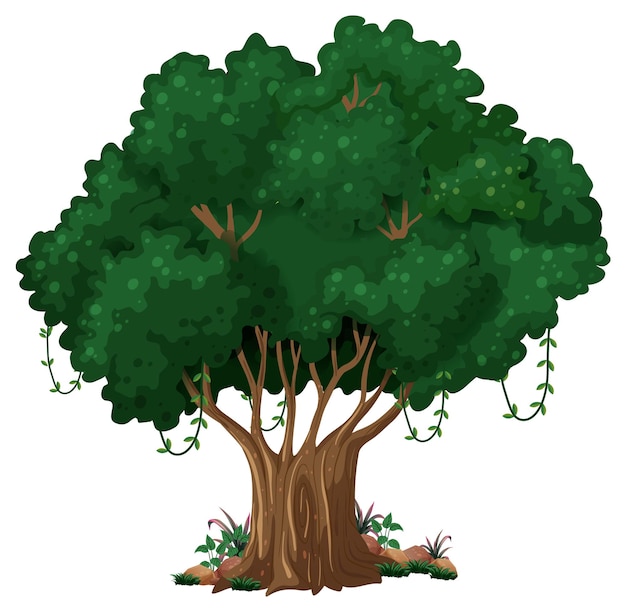 Free vector big tree isolated cartoon