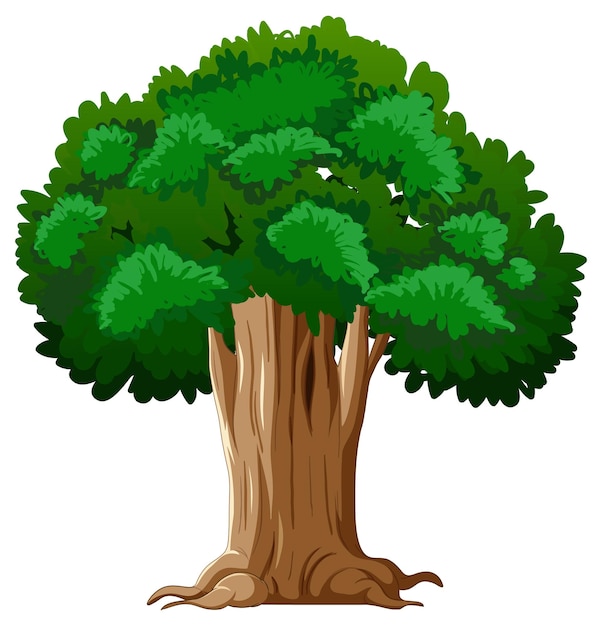 Free vector big tree isolated cartoon