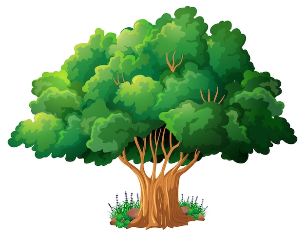 Big tree isolated cartoon