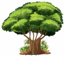 Free vector big tree isolated cartoon