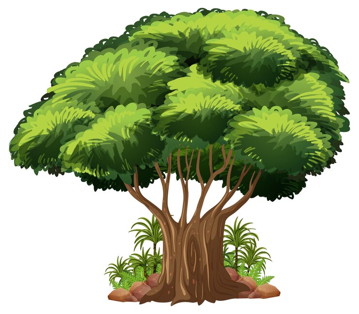 Free Vector big tree isolated cartoon