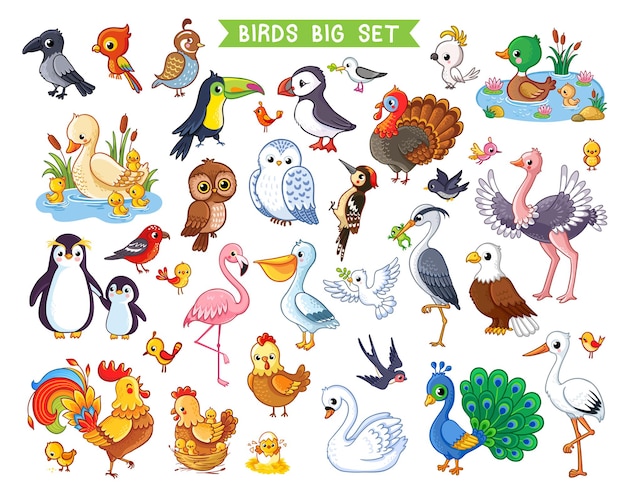 Большой векторный набор с птицами в мультяшном стиле