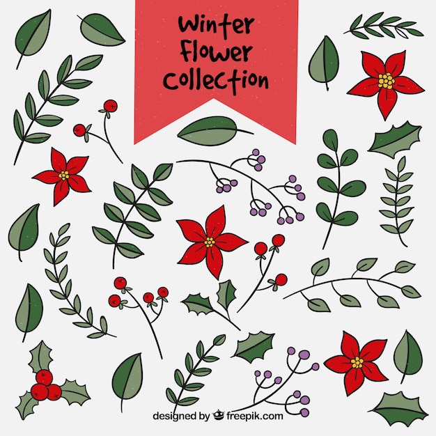 Free vector big winter collection of leaves and flowers