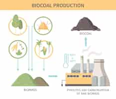 無料ベクター biocoal 生産インフォ グラフィックの図は、熱分解および炭化処理フラット ベクトル図の原料バイオマスのソースを示した