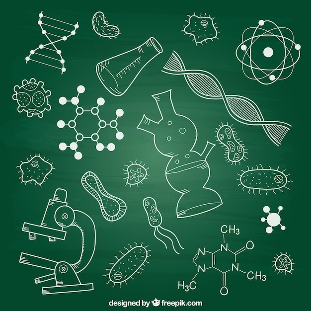 Biology elements on chalkboard