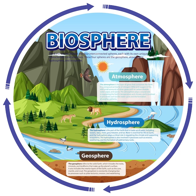 Free vector biosphere ecology infographic for learning