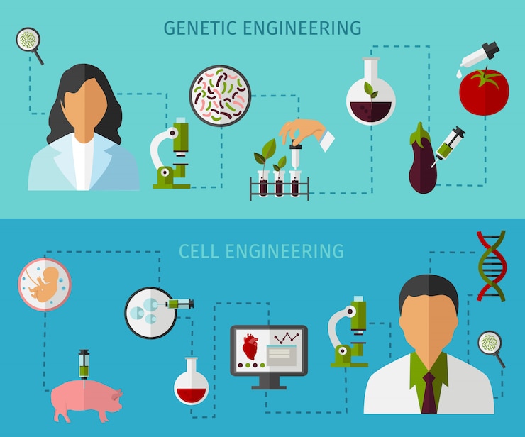 Free Vector biotechnology colored banners set
