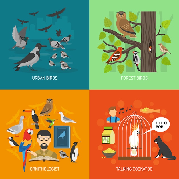 Free vector bird 2x2 images concept