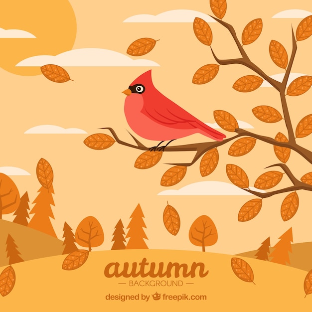 Free vector bird on branches with flat design