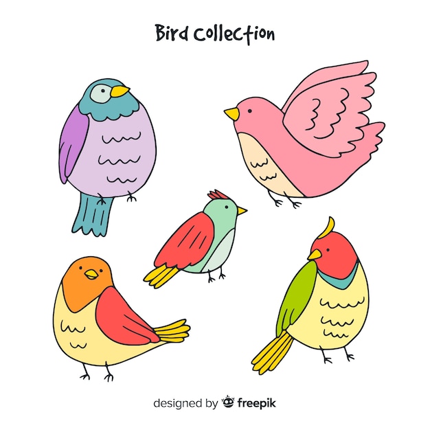 Free vector bird collectio