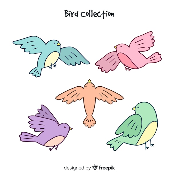 Бесплатное векторное изображение Птичья коллекция