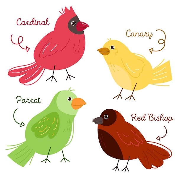 Free vector bird collection drawing theme