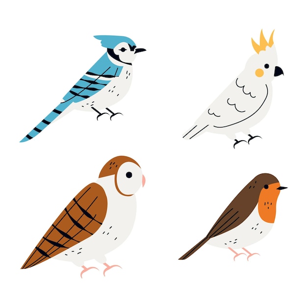 Free vector bird collection drawing