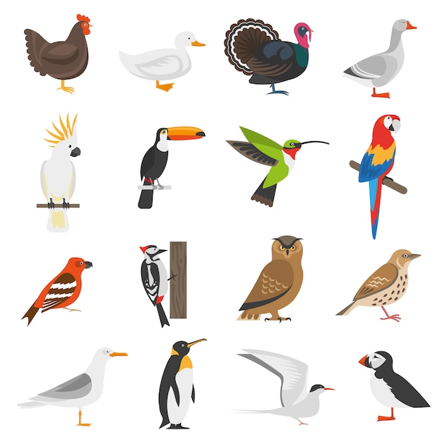 Free vector bird flat color icons set