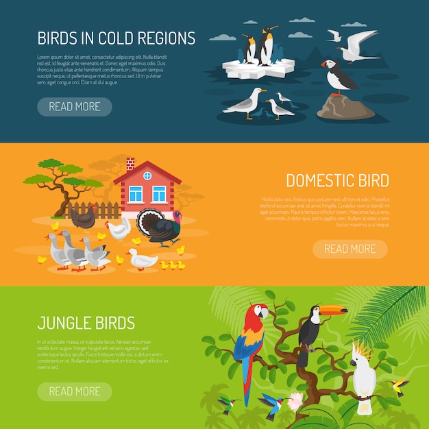 Bird horizontal banners set