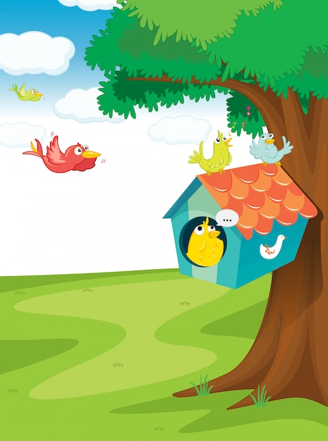 木の上の鳥の家