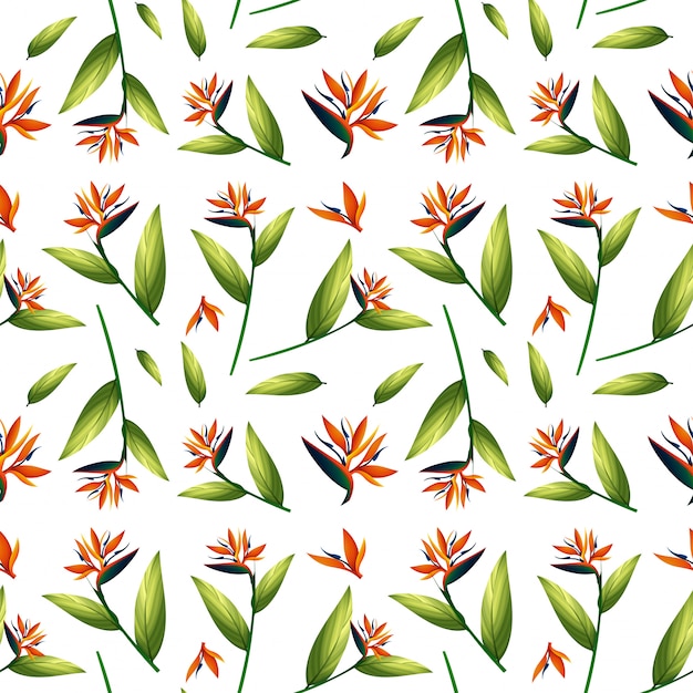 Bird of paradise seamless pattern