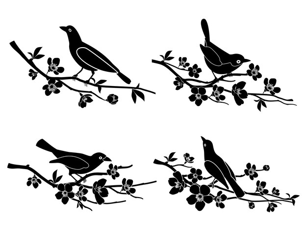 Птицы на ветках. Природа и животные, силуэт и цветы и дикая природа векторные иллюстрации