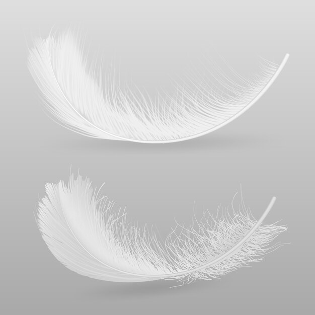 Птицы летают или падают вниз белые, пушистые перья 3d реалистичные векторные иллюстрации, изолированные на сером фоне. Символ мягкости и хрупкости. Элемент декоративного дизайна концепции нежности и чистоты
