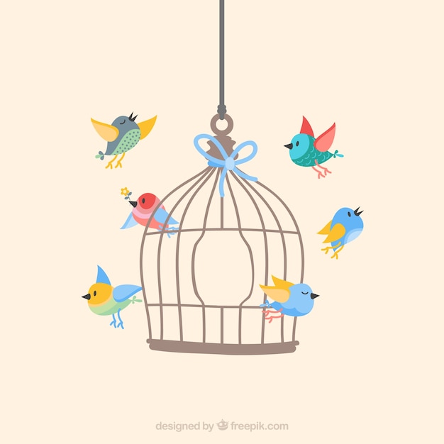 Birds flying from cage