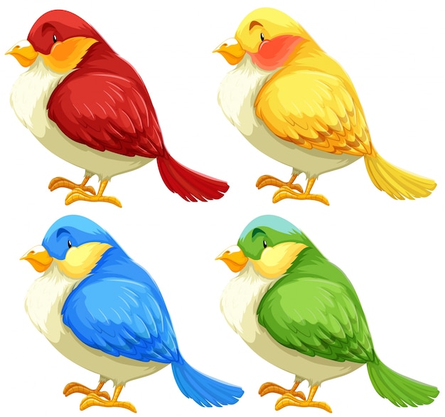 Free vector birds