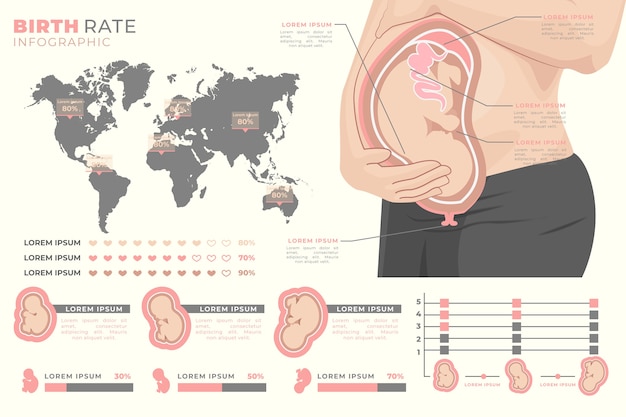 Free vector birth rate infographic statistics