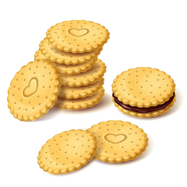 Biscuit cookies or cracker with cream vector