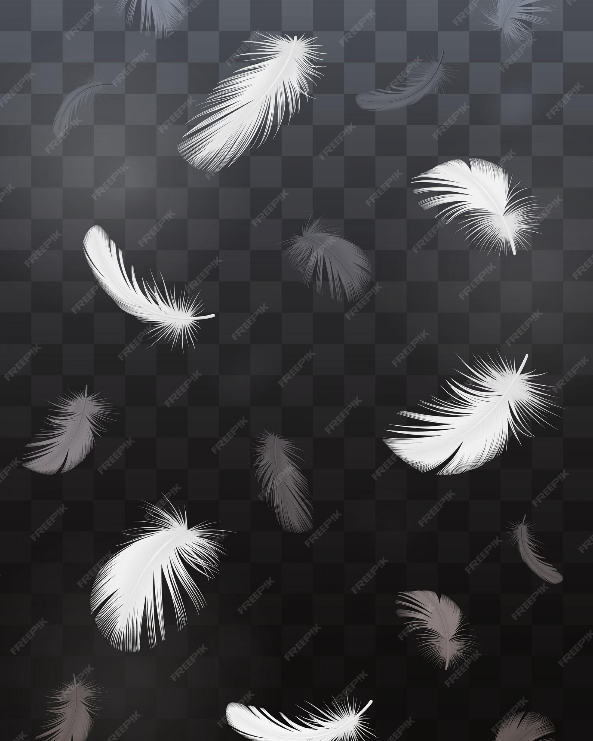 Wing 画像 無料のベクター ストックフォト Psd