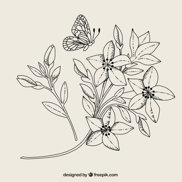 Черный и белый цветок и бабочка
