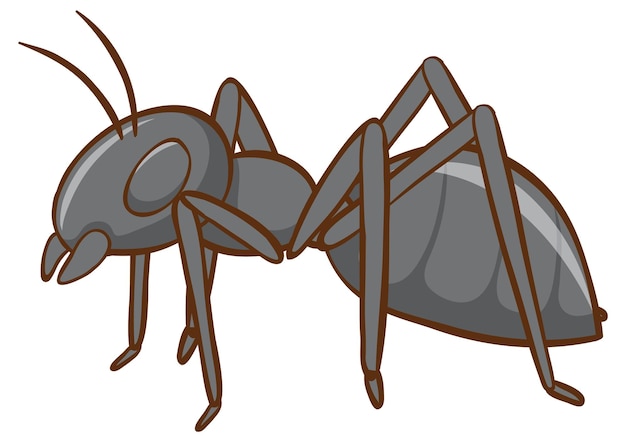 Free vector black ant on white background