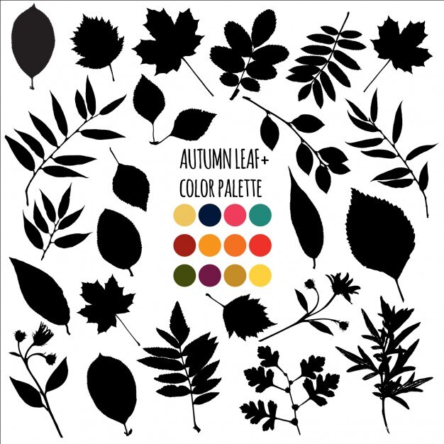 Free Vector black autumn leaves collection