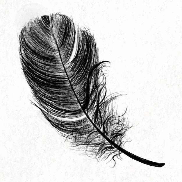 Black bird feather element vector