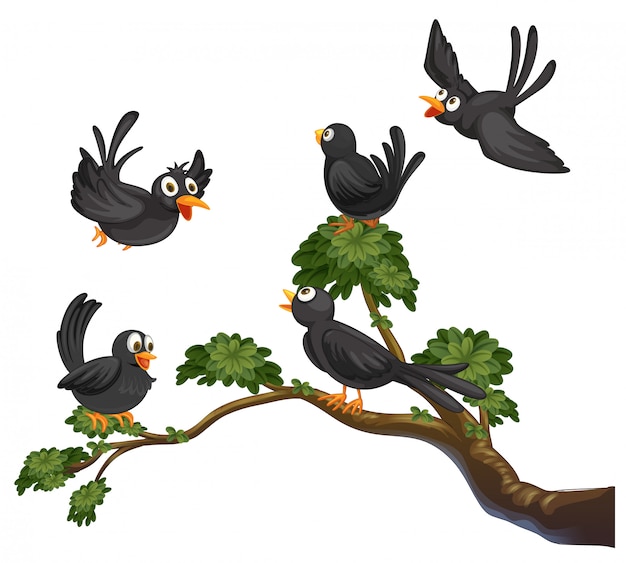 Бесплатное векторное изображение Черные птицы