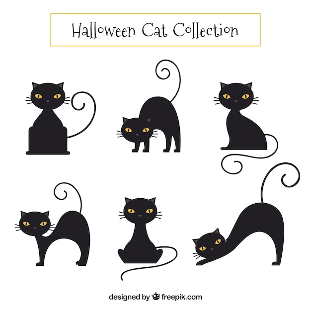 Free vector black cat collection