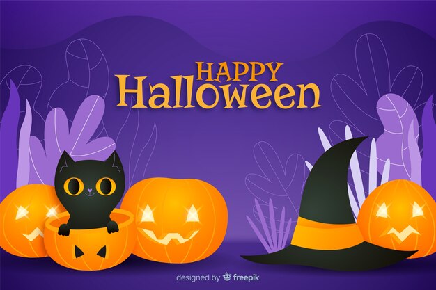 Black cat in pumpkin halloween background