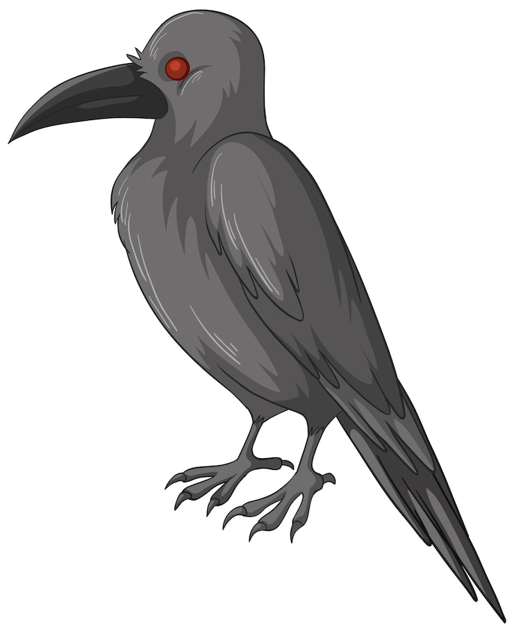 無料Vector 白い背景に分離された黒いカラス