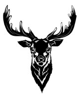 Black deer head