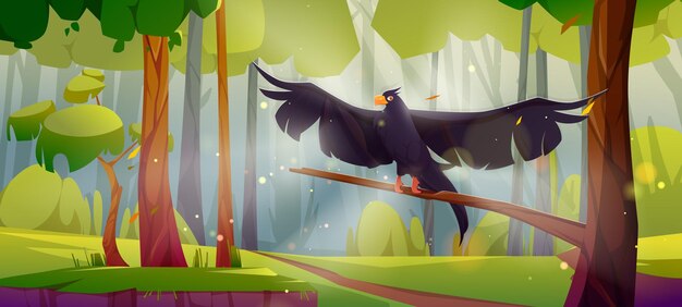 black eagle falcon or hawk sit on tree in forest