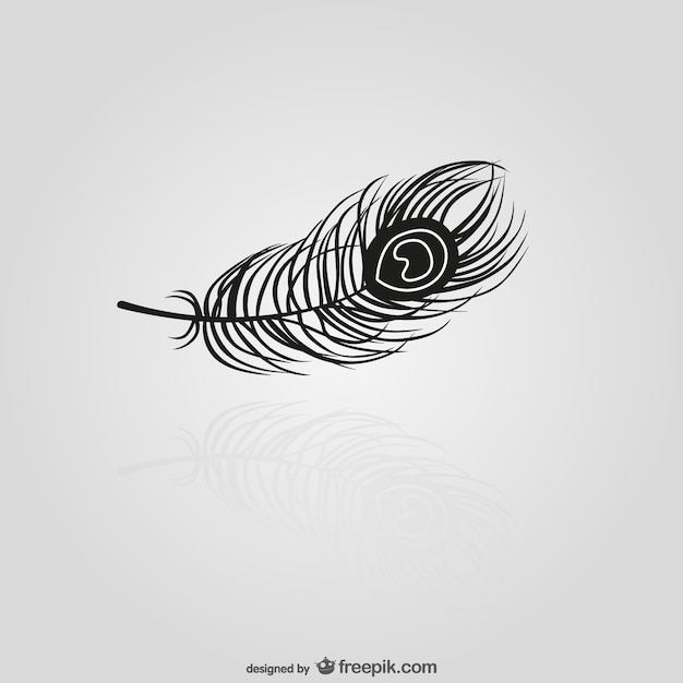 Black Feather Silhouette PNG Images, Black Feather Illustration, Three  Dimensional, Animal, Peacock PNG Image For Free Download