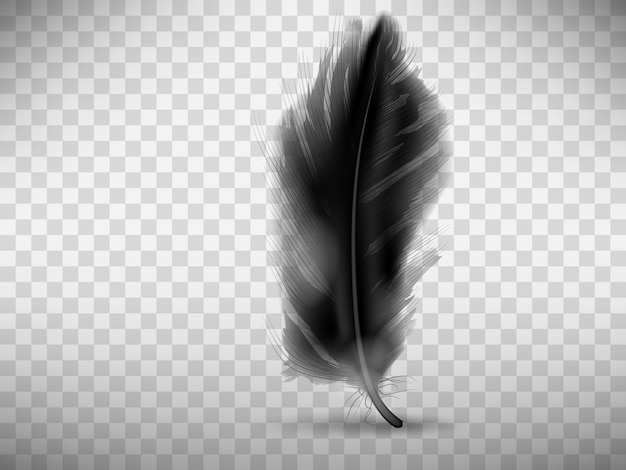 Free vector black fluffy feather with shadow realistic